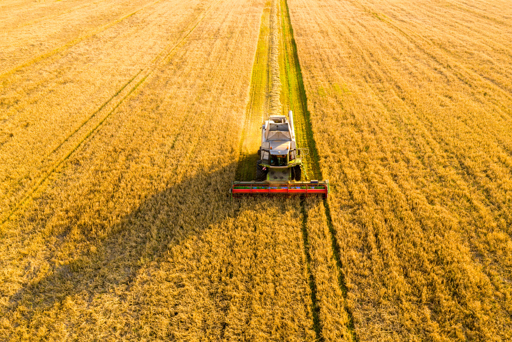 Cereal agricultural industry
